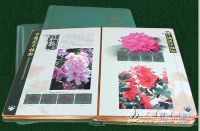 中國花卉植物郵票珍藏大系 文雅閣禮品網(wǎng)的正品銷售指南