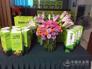 共謀發展，鵬森緣柳州客戶交談會盛大舉行，禮品花卉銷售迎春綻放